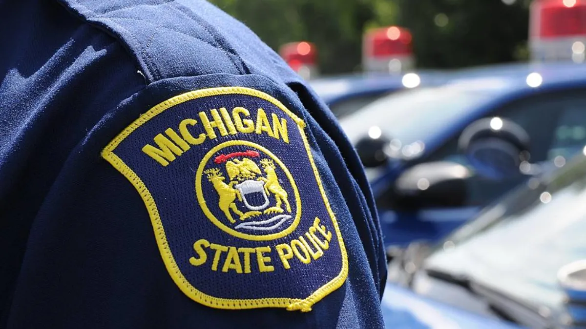 Is It Legal For Police In Michigan To Search Your Phone During A Traffic Stop