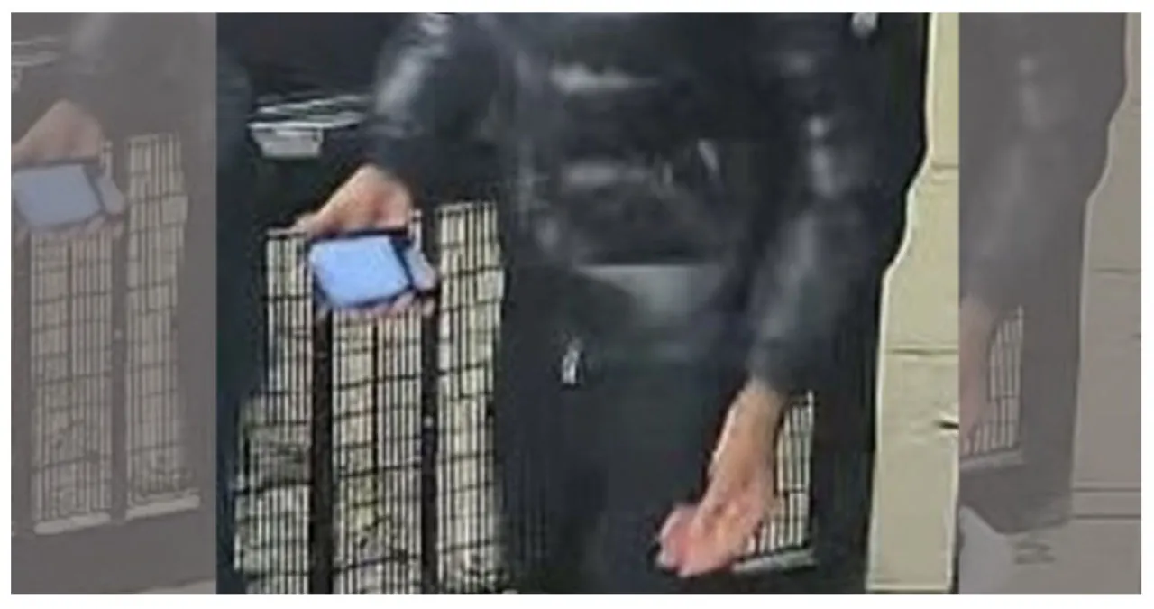 Teenager, 14, has $1,200 Moncler coat stolen in Midtown robbery