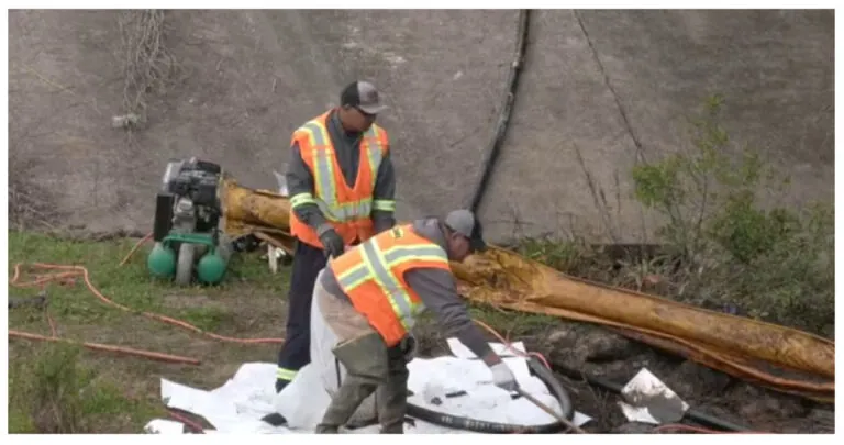 Texas City Ditch Spill Cleaned Up, 150 Barrels Of Crude Oil Removed