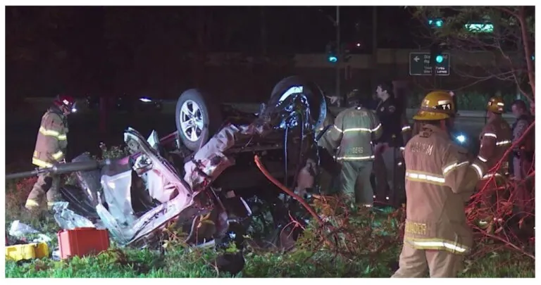 Tragic Crash Near Disneyland in Anaheim Claims Driver's Life on New Year's Day