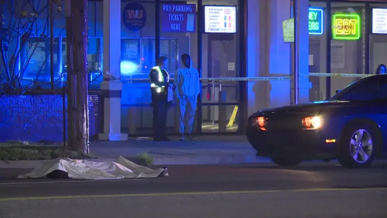 Tragic pedestrian killed in Baldwin Hills while crossing the street