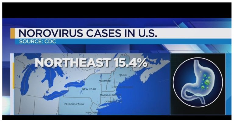 CDC reports stomach virus outbreak in Northeast region