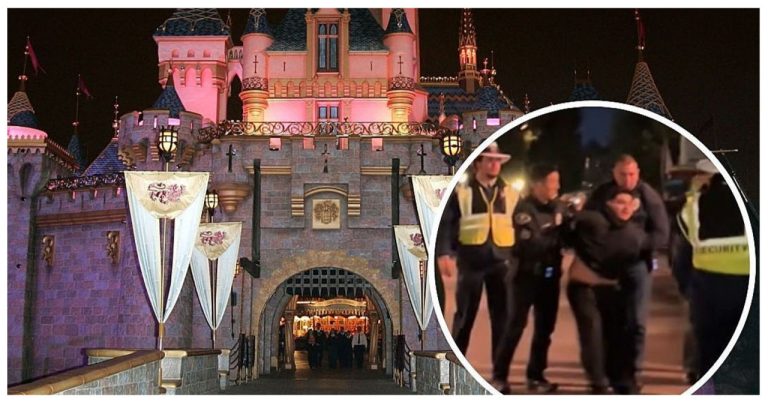 Report: Guest at Disneyland Arrested After 'Violent' Altercation