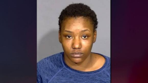 Woman pleads guilty to kidnapping twins, leaving one at airport and the other in car for 3 days.