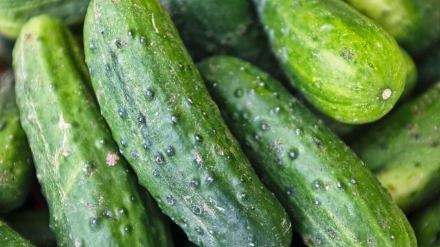 Leave your South Carolina home immediately if you detect the aroma of cucumbers