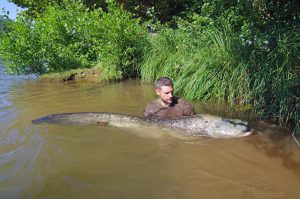 Gigantic, Frightening Fish Caught by Conservationists in the Vicinity of NYC