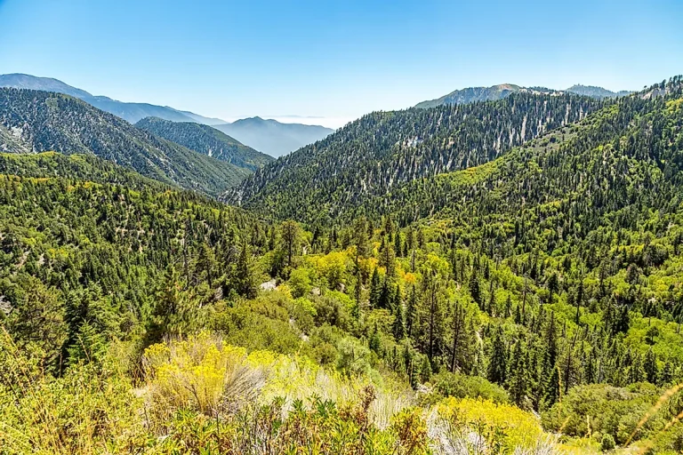 Can You Take Rocks From The National Forest In California