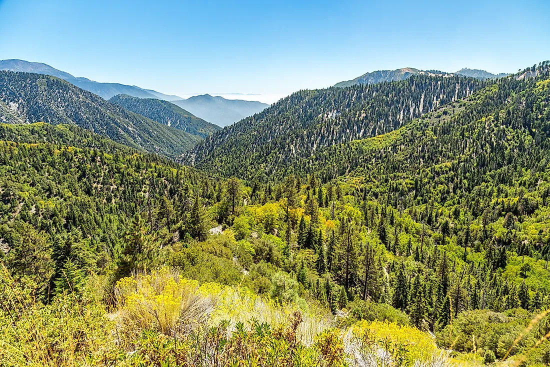 Can You Take Rocks From The National Forest In California