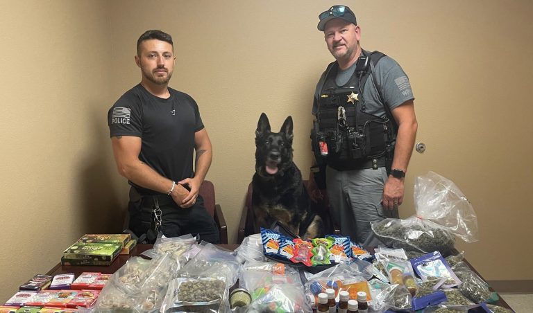 Central Illinois: Law Enforcement Discovers $200,000 Worth of Drugs in Raid